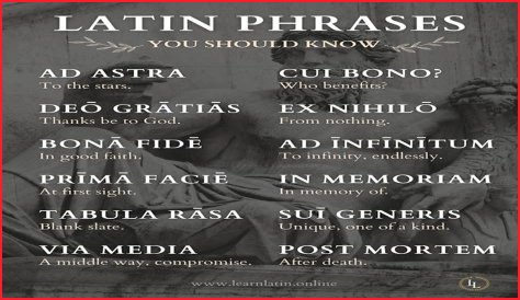 A Profile Of A Latin Beauty